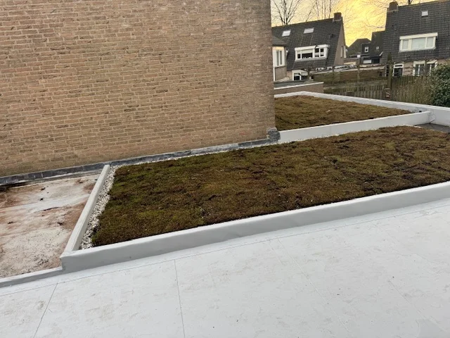 Sedum groendak met witte kunststof dakrand naast een bakstenen muur